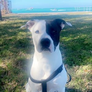 Meet your Posher, Chantal